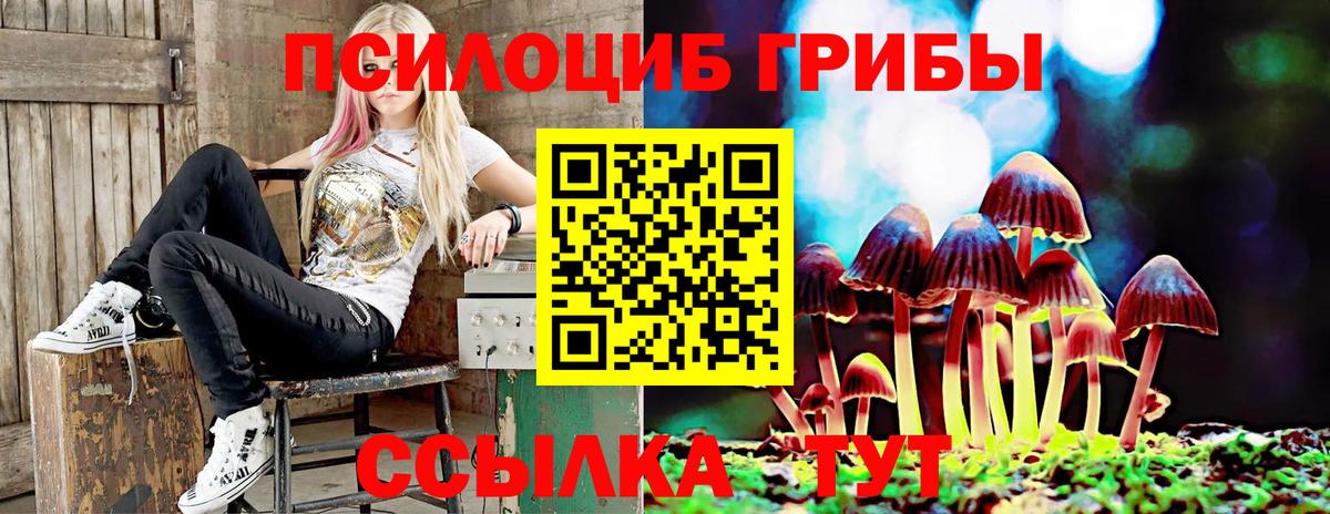 Галлюциногенные грибы MAGIC MUSHROOMS Чапаевск