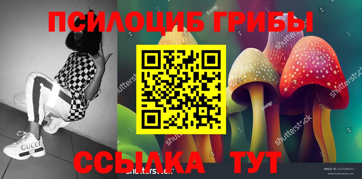 APVP Чапаевск